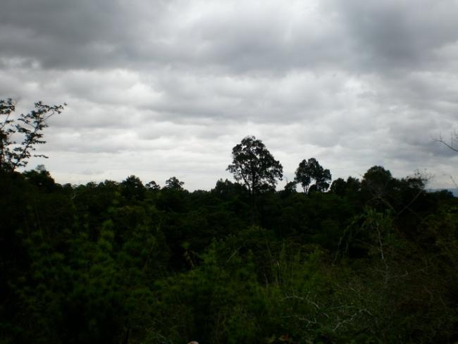 SANY6969.jpg